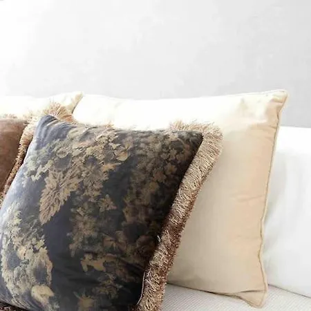 Nuevo En El Centro De Donosti *